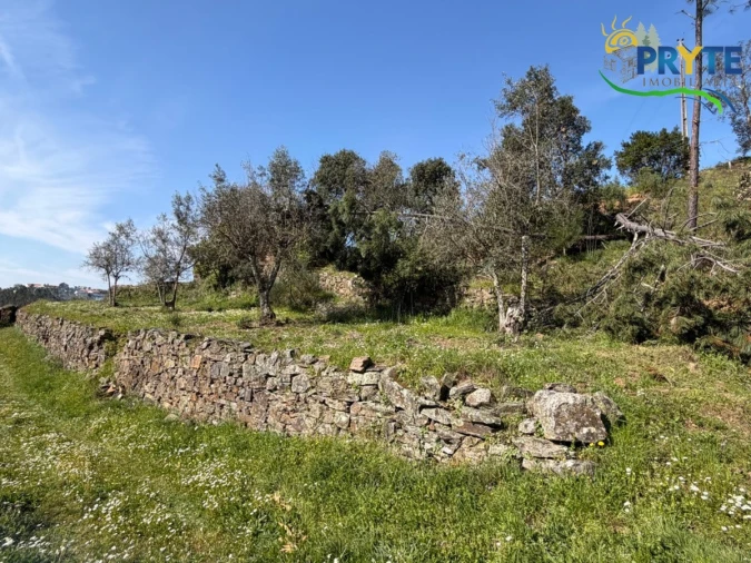 Terreno para Venda em Varzea dos Cavaleiros Foto 25