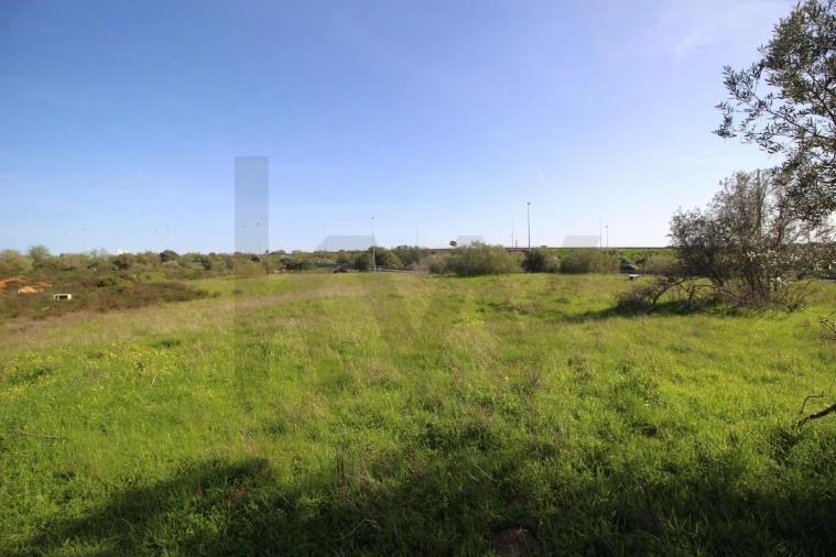 Terreno para Venda em Lagoa e Carvoeiro Foto 12