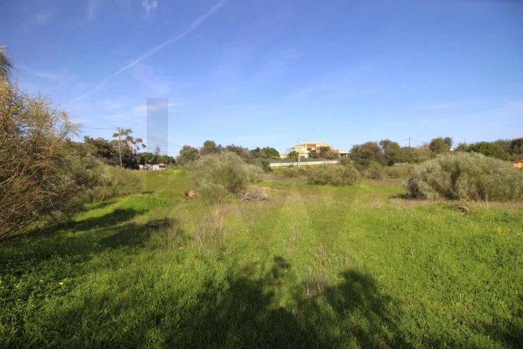 Terreno para Venda em Lagoa e Carvoeiro Foto 13