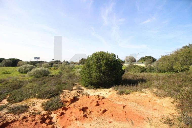 Terreno para Venda em Lagoa e Carvoeiro Foto 16