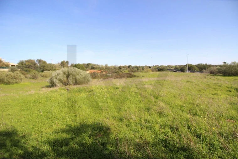 Terreno para Venda em Lagoa e Carvoeiro Foto 10