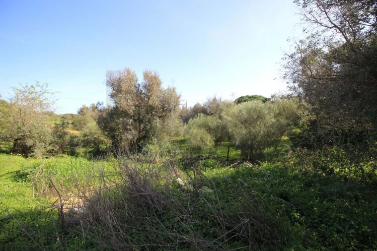 Terreno para Venda em Lagoa e Carvoeiro Foto 6