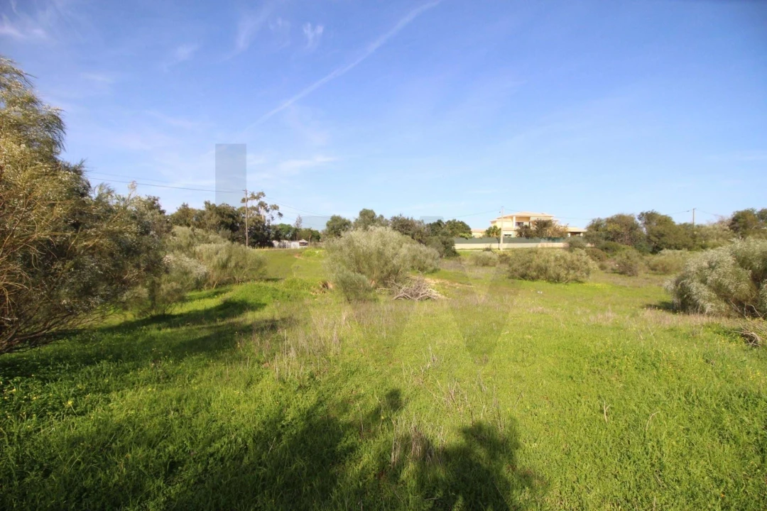 Terreno para Venda em Lagoa e Carvoeiro Foto 14