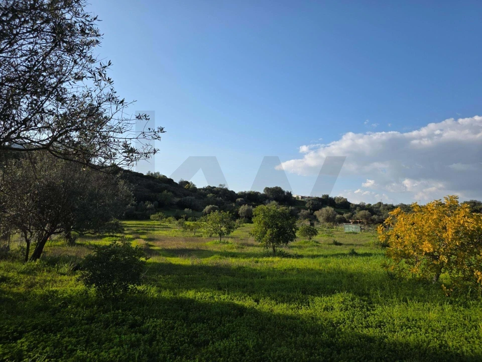 Terreno para Venda em Porches Foto 25