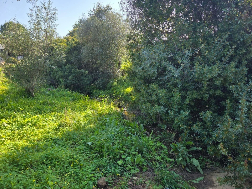 Terreno para Venda em Porches Foto 6