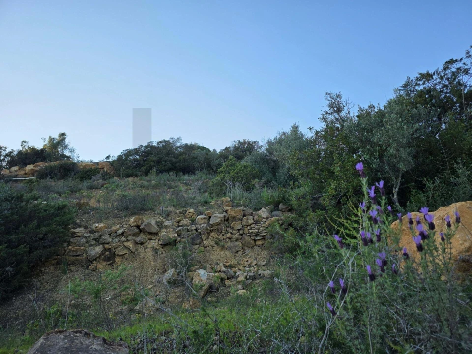 Terreno para Venda em Porches Foto 18