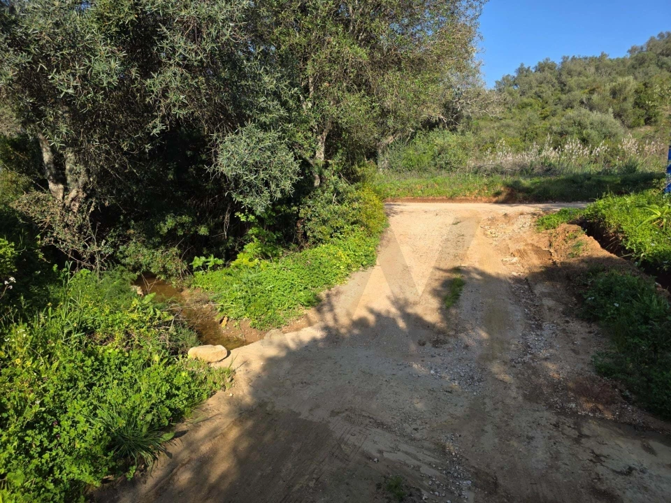 Terreno para Venda em Porches Foto 5