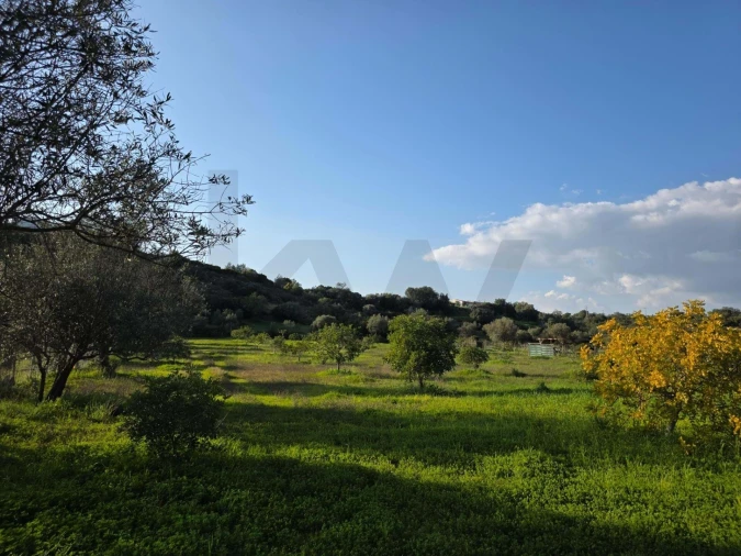 Terreno para Venda em Porches Foto 25