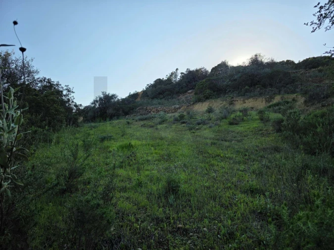 Terreno para Venda em Porches Foto 19