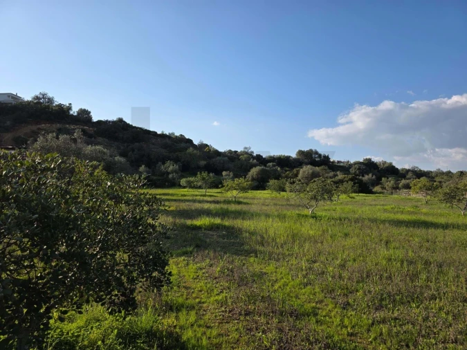 Terreno para Venda em Porches Foto 2