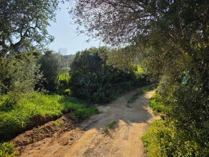 Terreno para Venda em Porches Foto 4