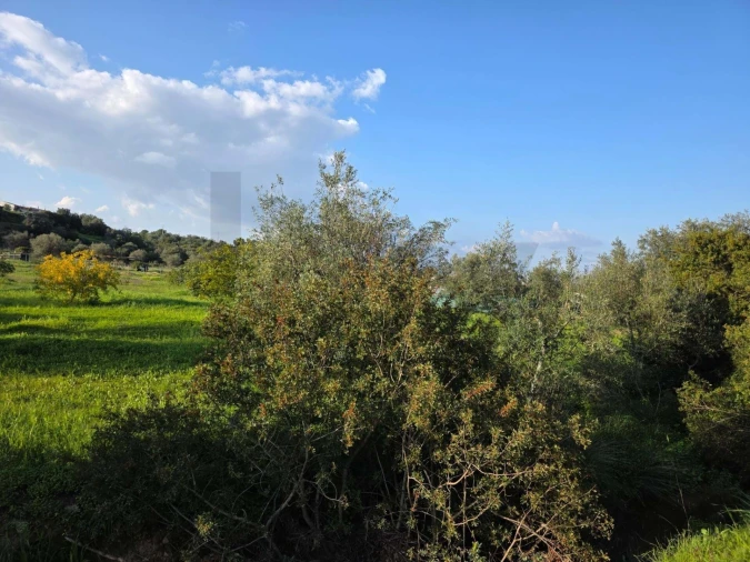 Terreno para Venda em Porches Foto 31