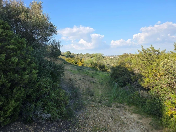 Terreno para Venda em Porches Foto 14
