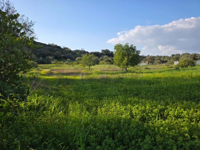 Terreno para Venda em Porches Foto 24