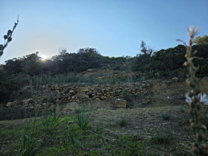 Terreno para Venda em Porches Foto 15
