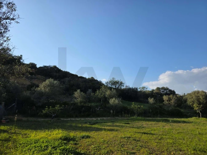 Terreno para Venda em Porches Foto 22