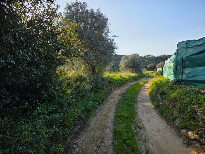 Terreno para Venda em Porches Foto 7