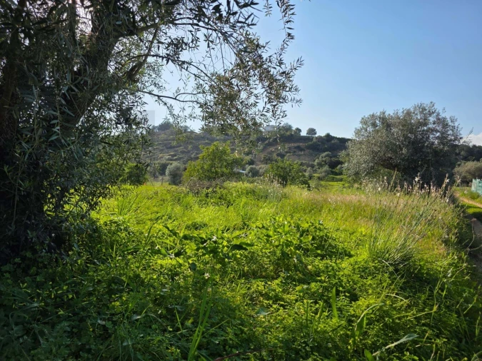 Terreno para Venda em Porches Foto 8