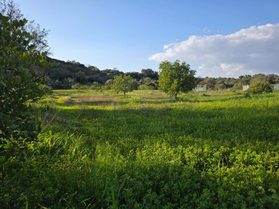 Terreno para Venda em Porches Foto 24