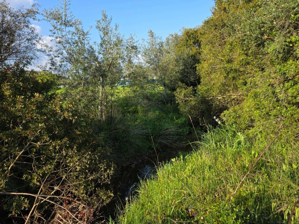 Terreno para Venda em Porches Foto 30