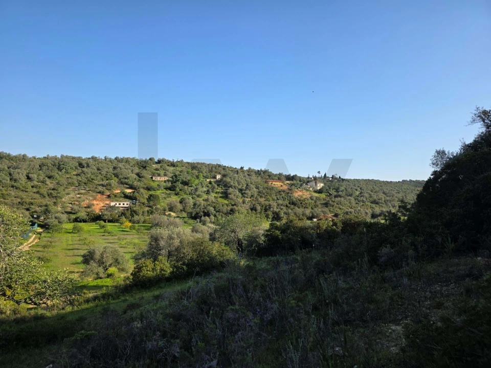 Terreno para Venda em Porches Foto 16