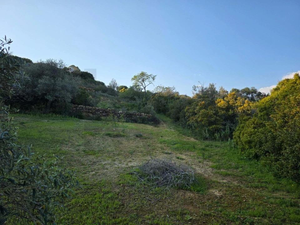 Terreno para Venda em Porches Foto 21