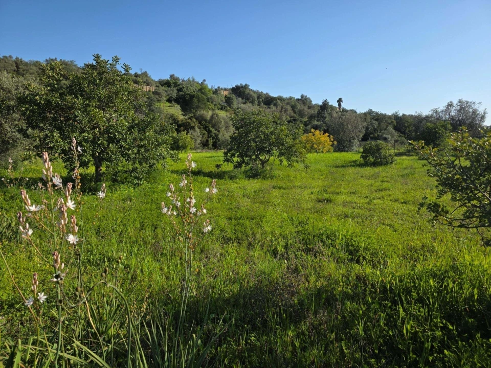 Terreno para Venda em Porches Foto 3