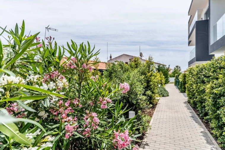 Apartamento T2 para Arrendamento em Ferreiras Foto 12