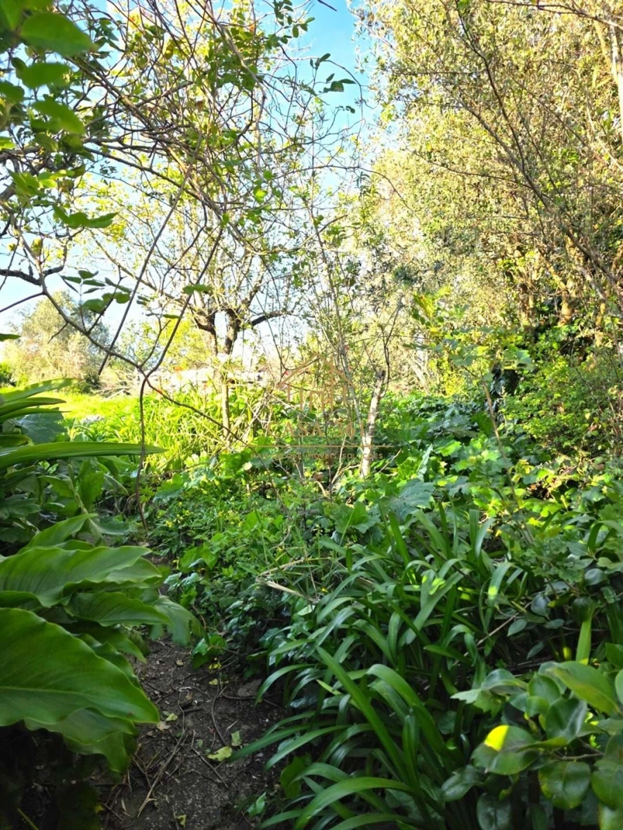 Moradia T3 para Venda em Carvoeira e Carmões Foto 21