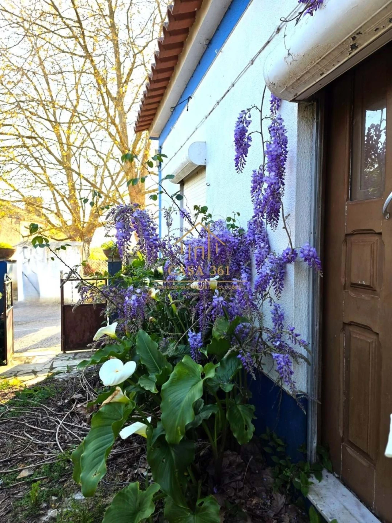 Moradia T3 para Venda em Carvoeira e Carmões Foto 19