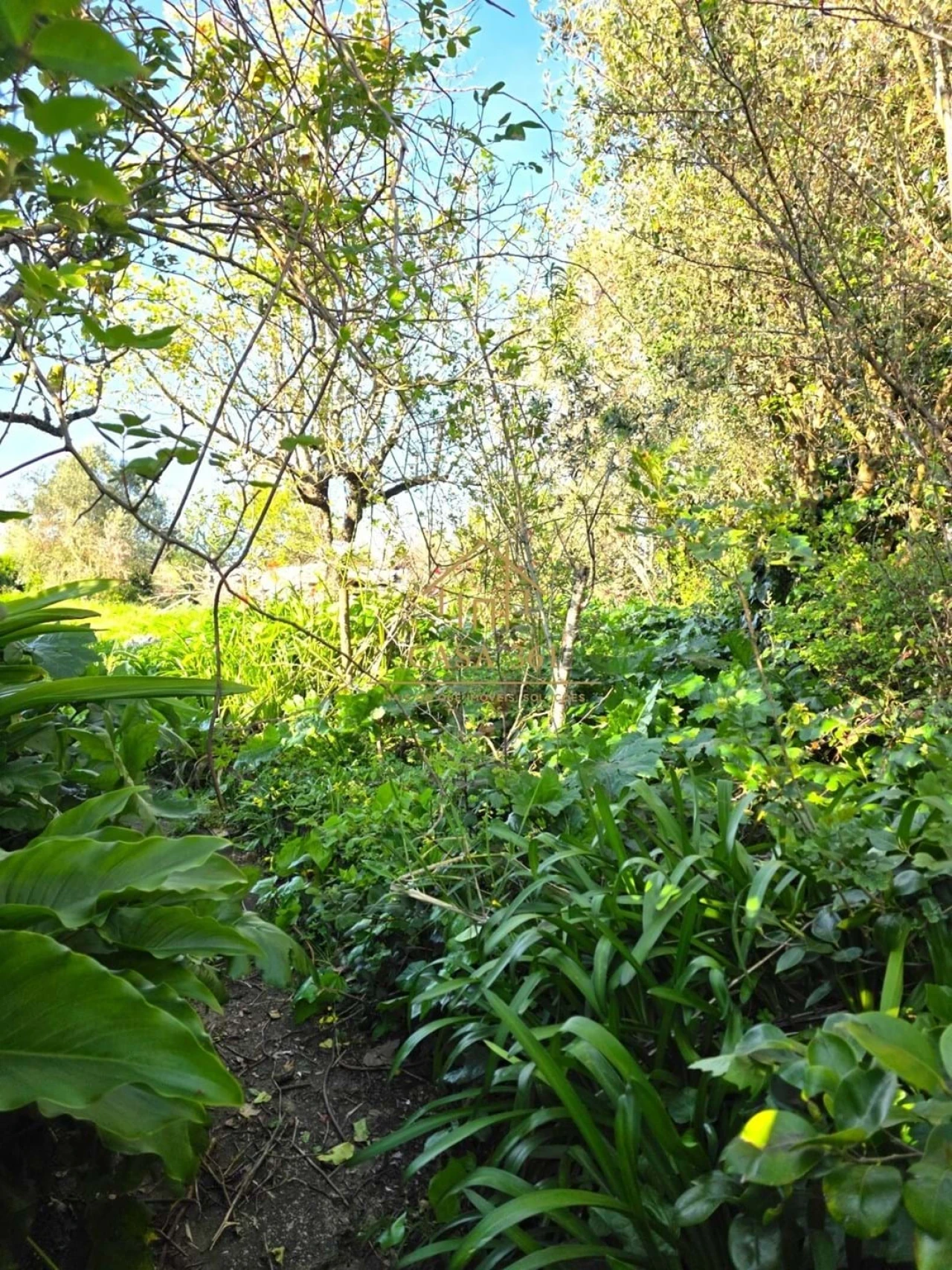 Moradia T3 para Venda em Carvoeira e Carmões Foto 21