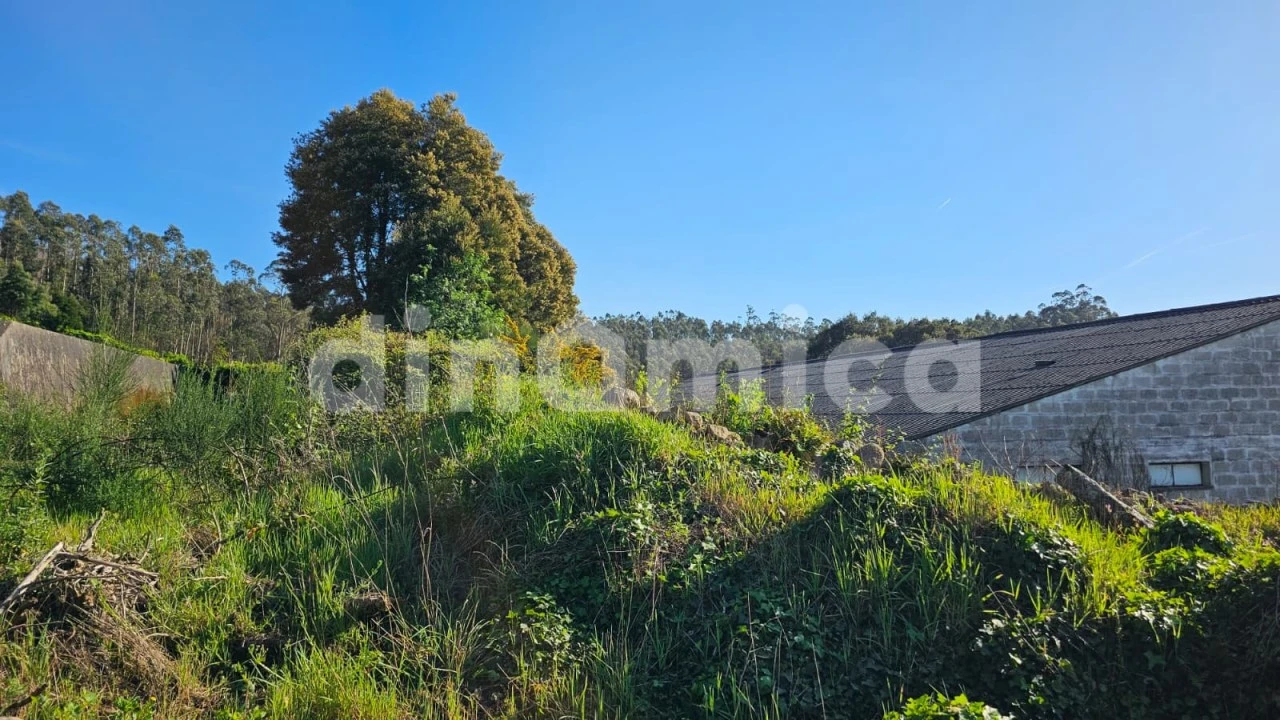 Armazém para Venda em Rio Mau e Arcos Foto 4
