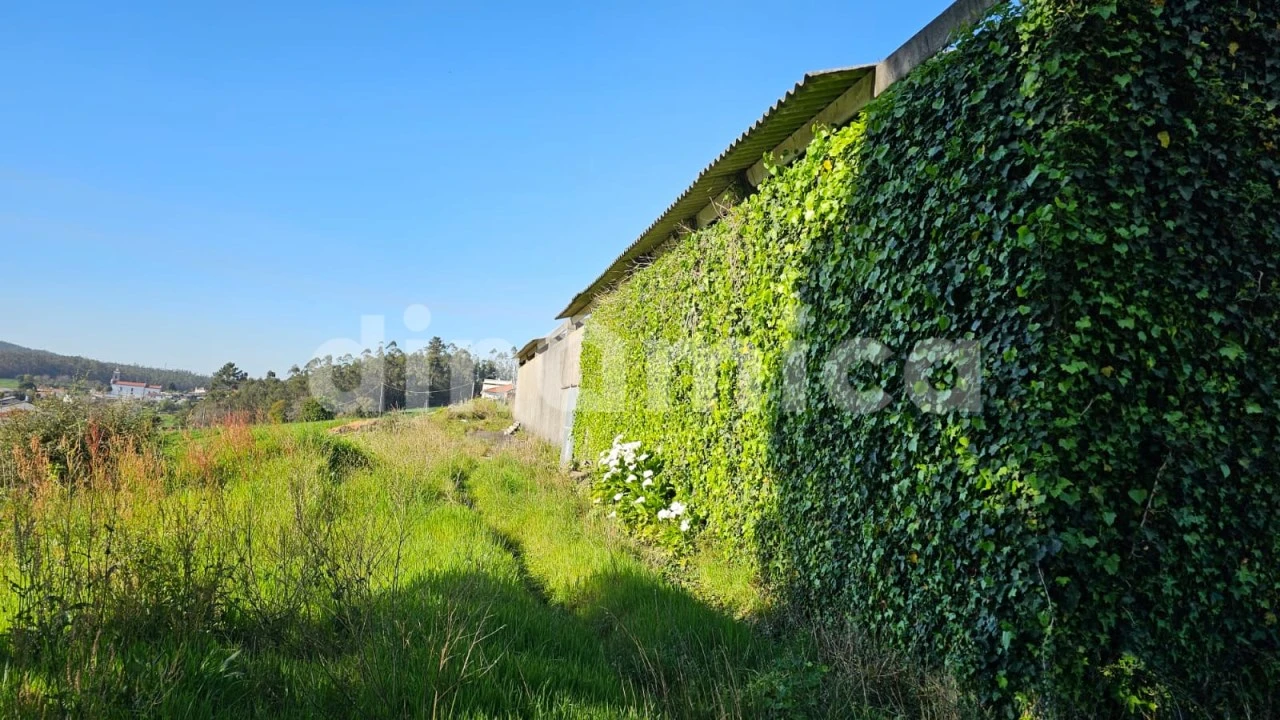 Armazém para Venda em Rio Mau e Arcos Foto 5