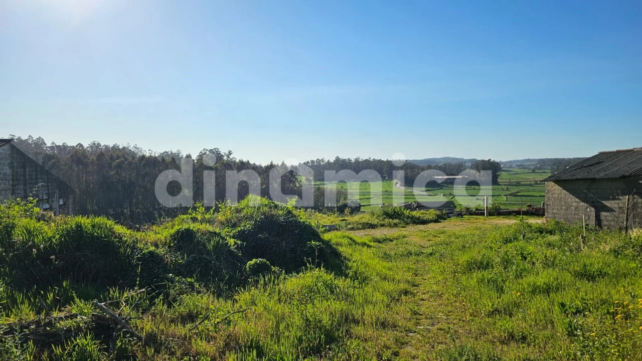Armazém para Venda em Rio Mau e Arcos Foto 8