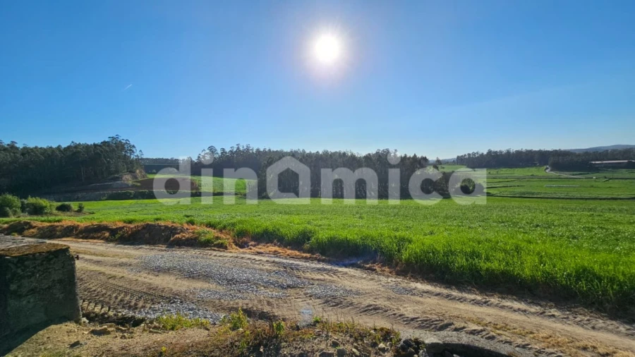 Armazém para Venda em Rio Mau e Arcos Foto 11