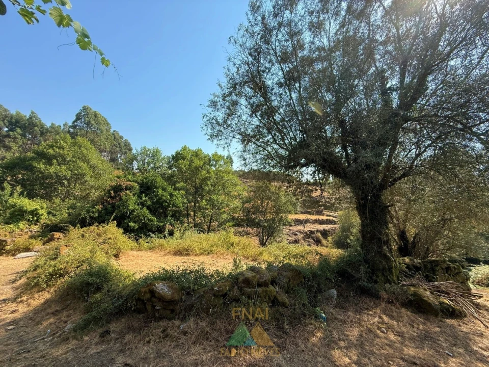 Moradia T2 para Venda em Vale Foto 12