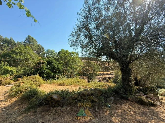 Moradia T2 para Venda em Vale Foto 12