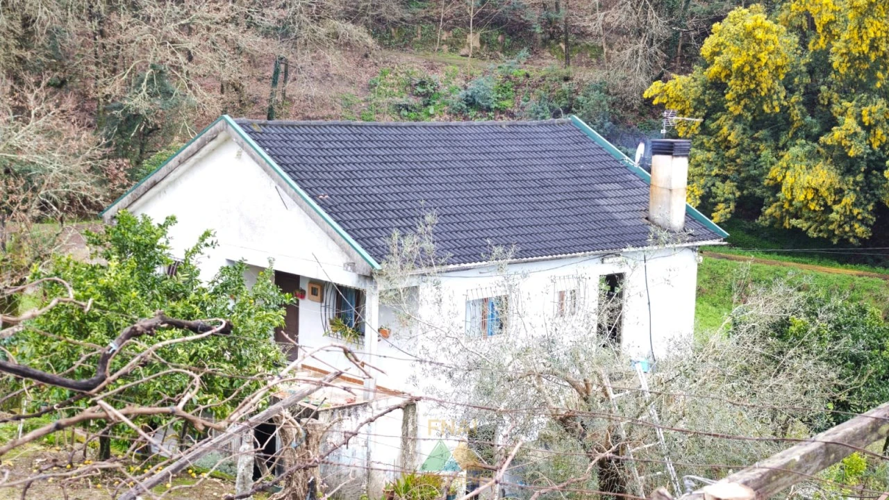 Quinta T3 para Venda em Beiral do Lima Foto 6