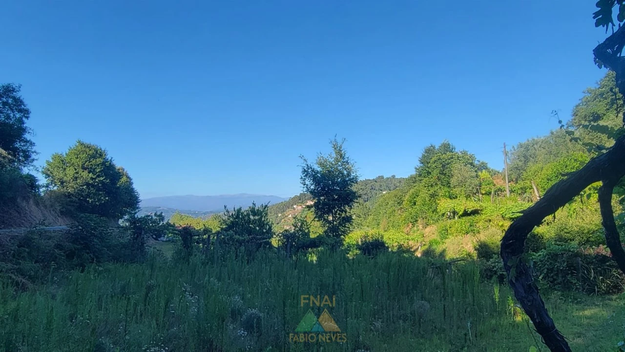 Quinta T3 para Venda em Beiral do Lima Foto 24