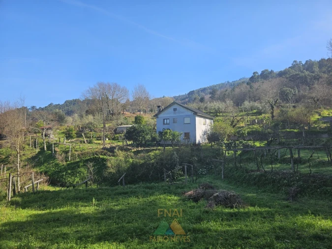 Quinta T3 para Venda em Beiral do Lima Foto 3