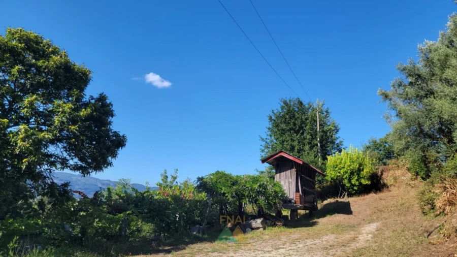 Quinta T3 para Venda em Beiral do Lima Foto 31