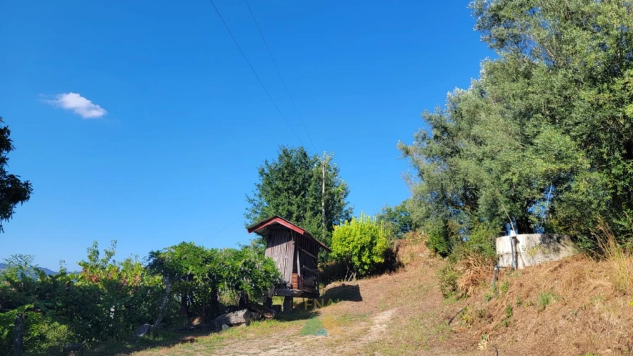 Quinta T3 para Venda em Beiral do Lima Foto 32