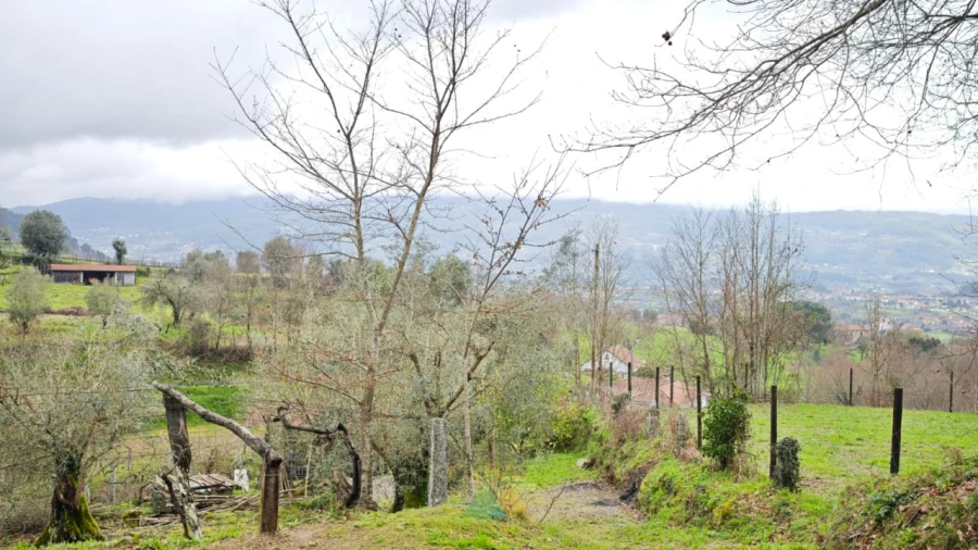 Quinta T3 para Venda em Beiral do Lima Foto 38