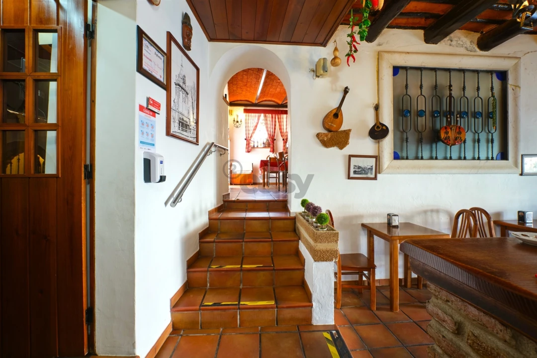 Negócio para Venda em Borba (Matriz) Foto 19