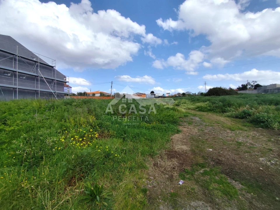 Terreno para Venda em Cortegaça Foto 3