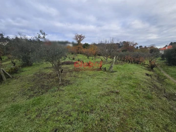 Terreno para Venda em Rio de Loba