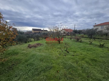 Terreno para Venda em Rio de Loba