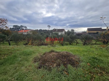 Terreno para Venda em Rio de Loba