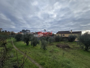 Terreno para Venda em Rio de Loba