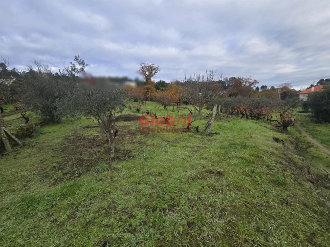 Terreno para Venda em Rio de Loba Foto 5